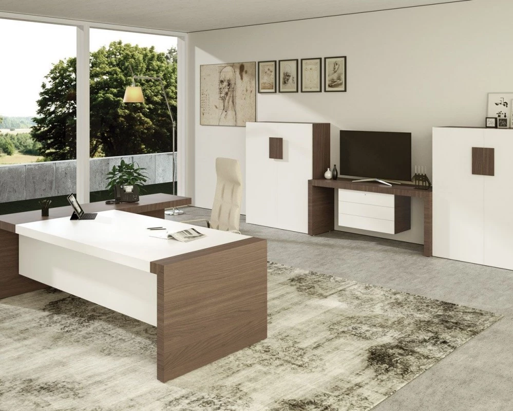 Кабинет руководителя Kyo