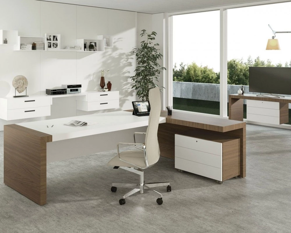 Кабинет руководителя Kyo