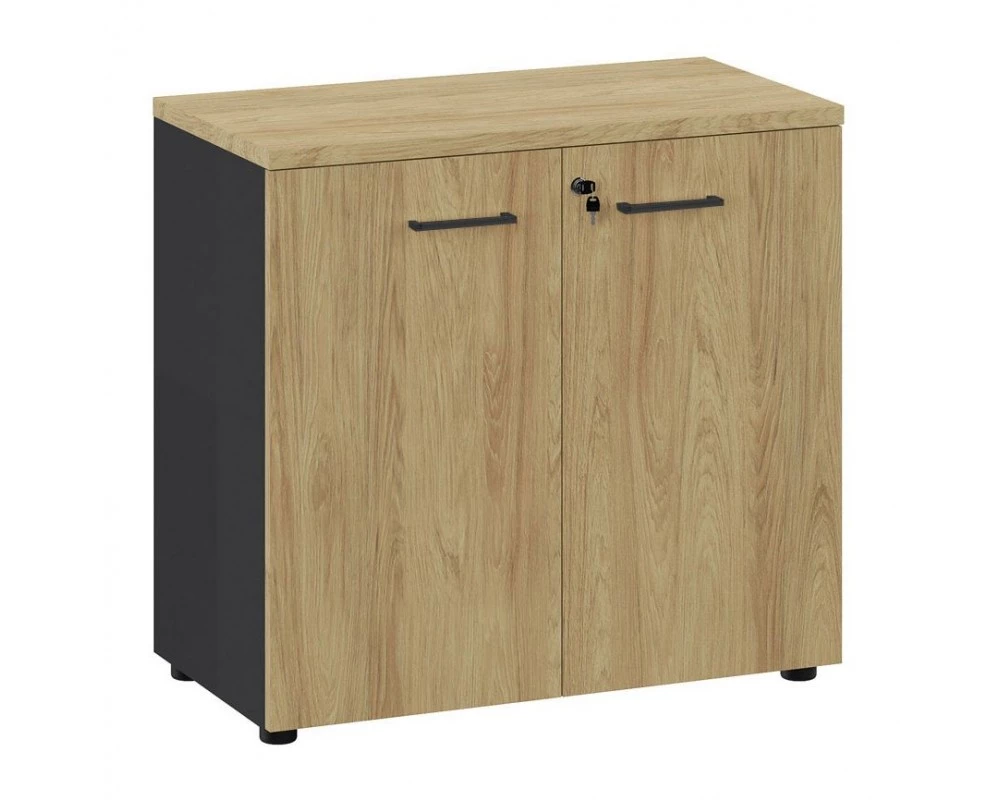 Шкаф низкий 80х42х76 Flex Гикори/Графит