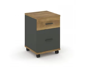 Тумба мобильная 1 ящ. 1 распаш. фасад CN.TUM-009 A 420x420x615 Concept images
