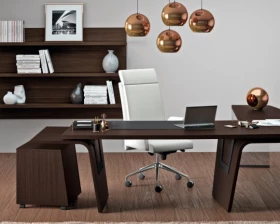 Кабинет руководителя Larus images