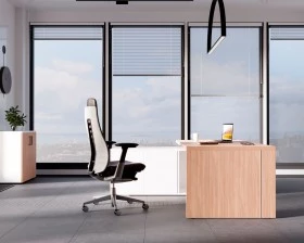 Кабинет руководителя Norman images