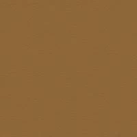 P2 EUROLINE 910 (коричнево-бежевый)