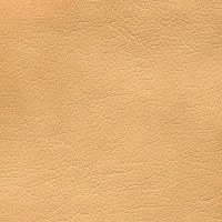 орегон antik 38